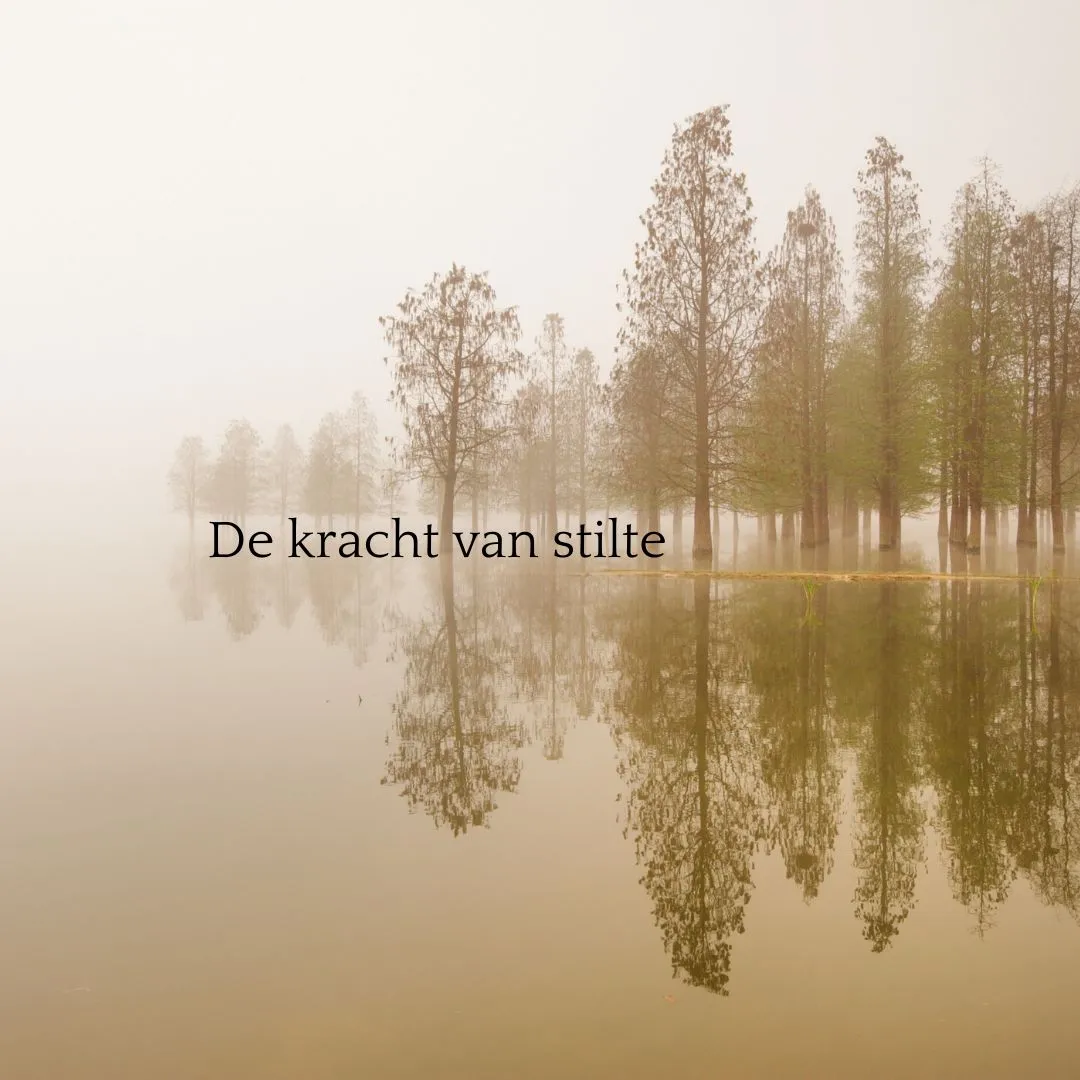 de-kracht-van-stilte